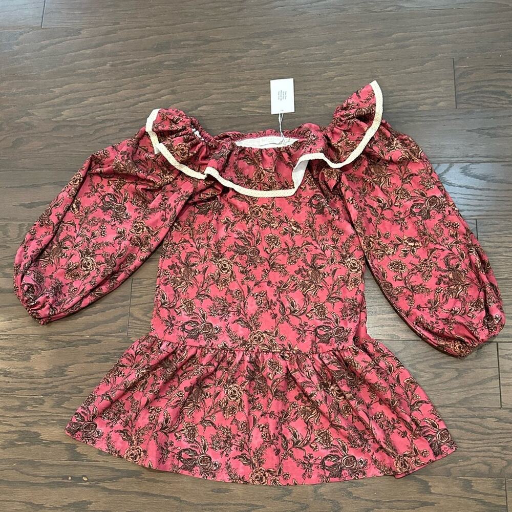 Smith & Quinn Dawn Dress Brush Flora Pink Floral Ruffle Mini Dress Size Small - Picture 3 of 11